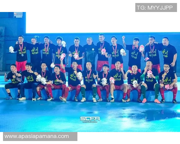 全运会足球明星注册名单揭晓各路球星齐聚赛场争辉