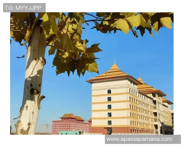 北京排球队的辉煌之路：从默默无闻到奥运荣耀的奋斗历程