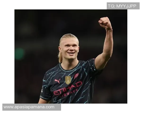 哈兰德足球明星头像解析与背后故事揭秘