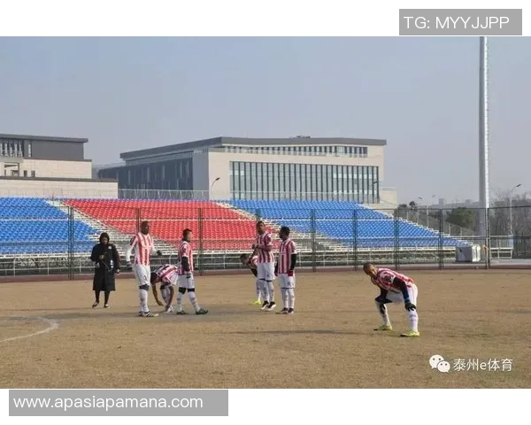 成都排球队比赛经验分享与提升策略的深入探讨与分析