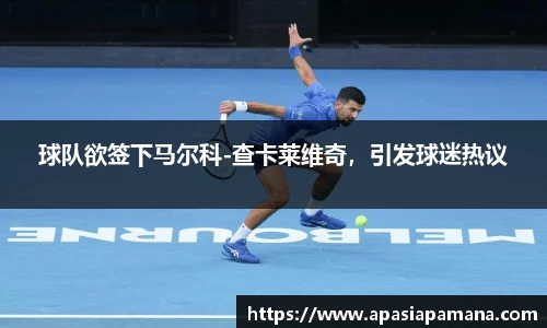 球队欲签下马尔科-查卡莱维奇，引发球迷热议